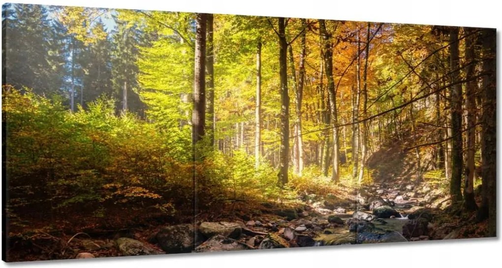 Festmények 120x60 Tájkép