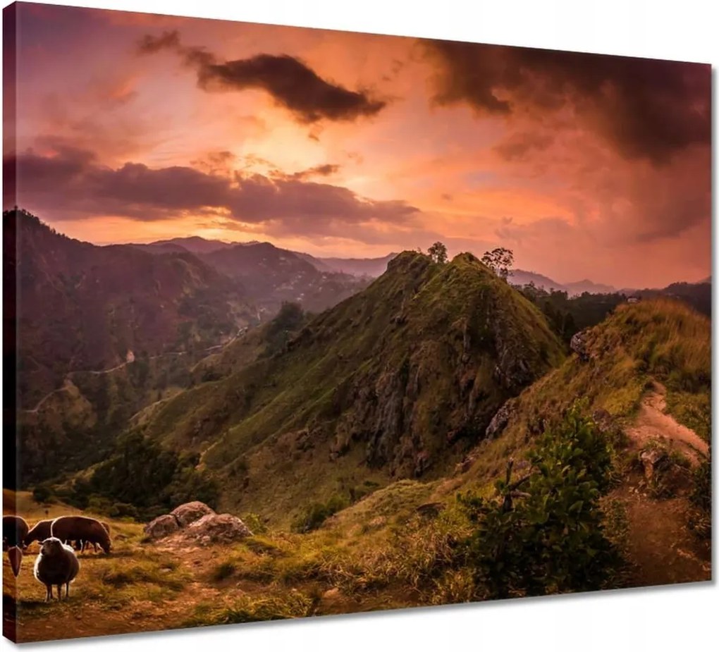 Vászonkép 50x40 Tájkép bárányhegyekkel