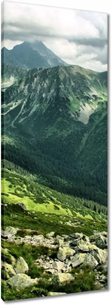 Vászonkép 40x100 Tátra Lengyel hegyek Kilátás