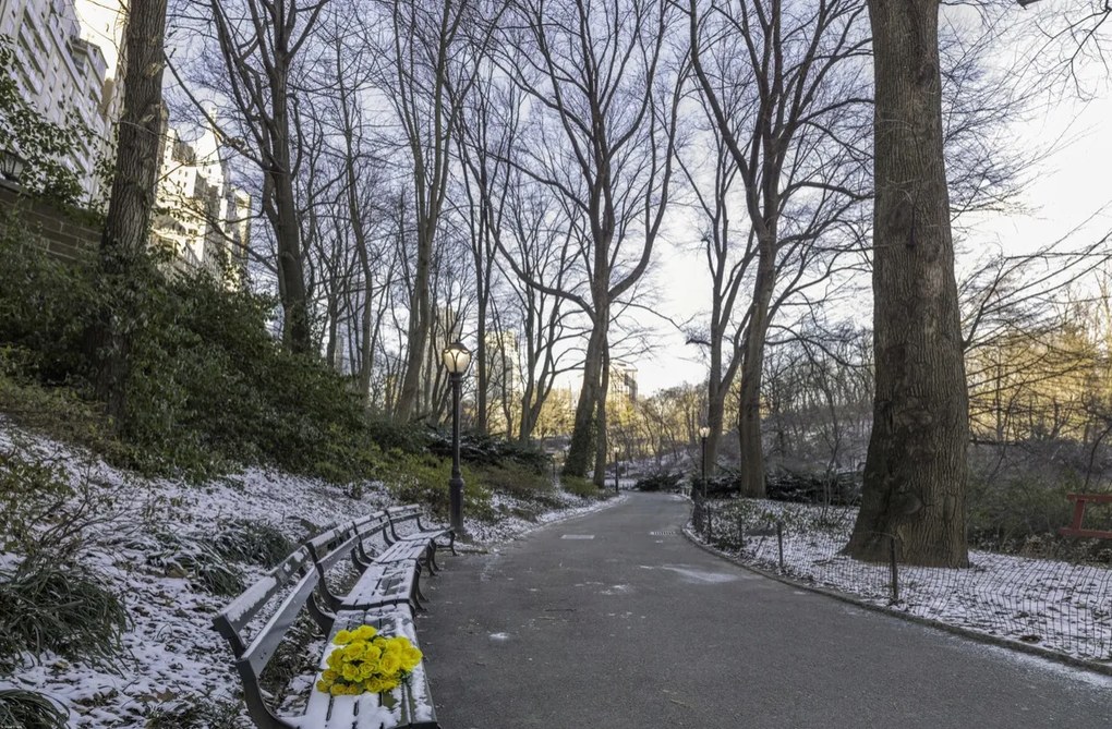 Poszter 91,5x60cm Egy csokor sárga virág egy padon a parkban, Assaf Frank