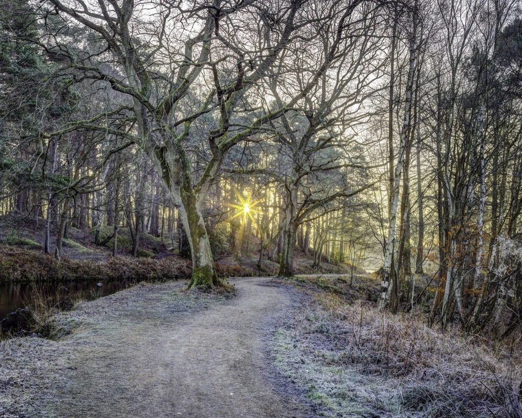 Poszter 50x40cm Vidéki csatorna fákkal és ösvényrel, Assaf Frank