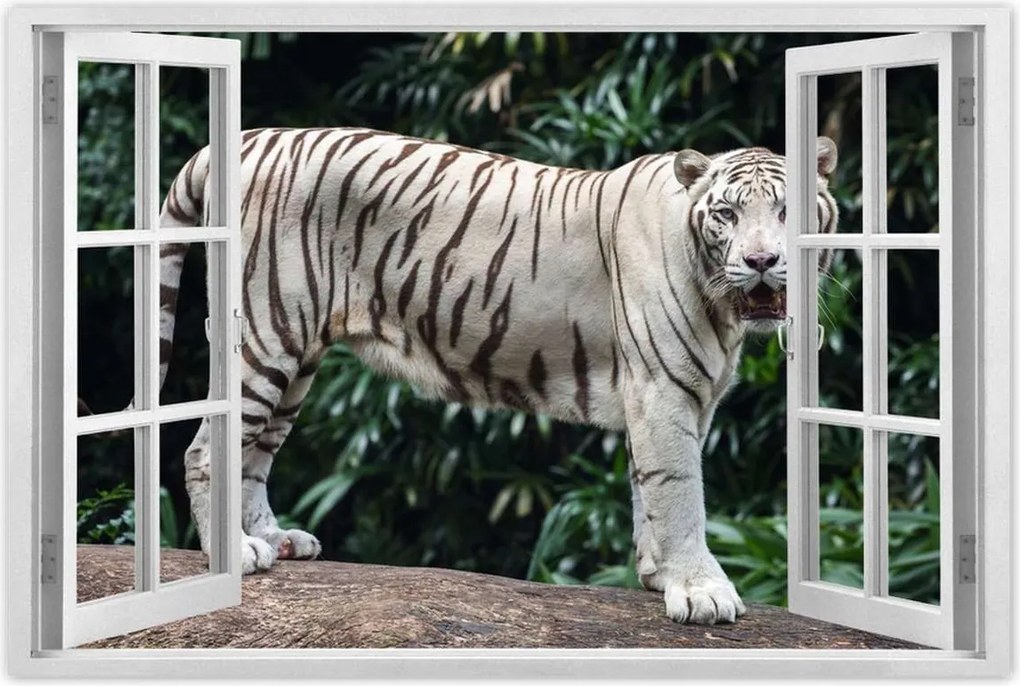 Poszterek 90x60 Fehér tigris Nagy macska