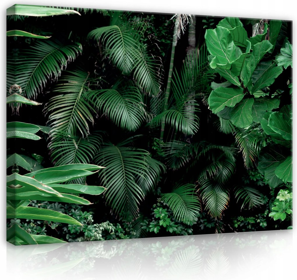 Vászonkép Zöld Levelek Dzsungel 120x80