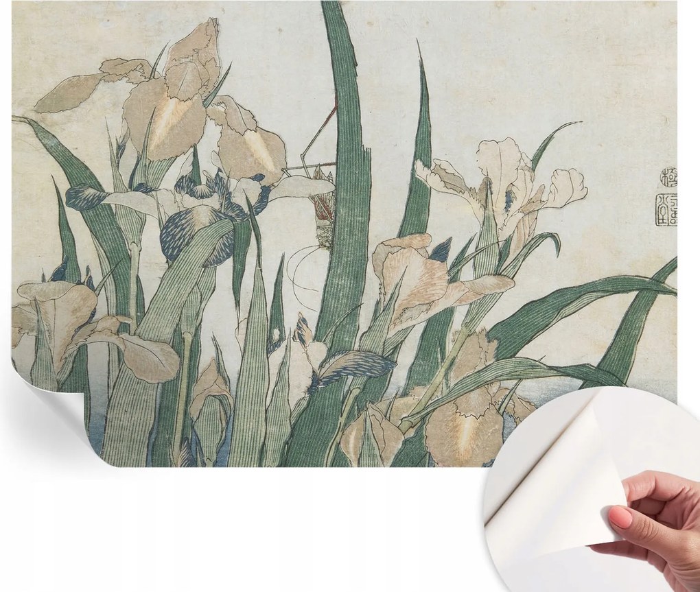 Mosható öntapadós fotótapéta étkezőbe Finom íriszek 208x146 cm