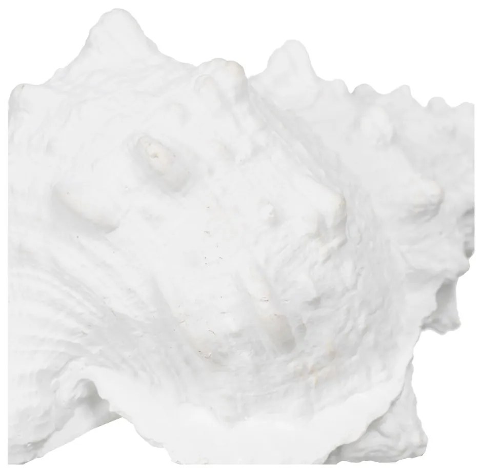 Poligyanta szobor (magasság 12 cm) Seashell – Ixia