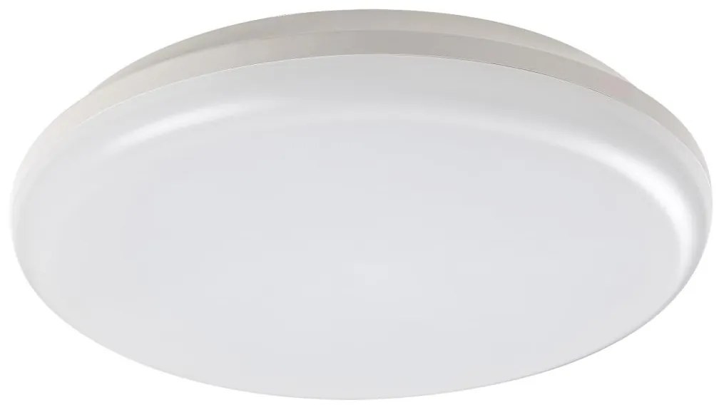 Rabalux 7979 - LED Kültéri mennyezeti lámpa ERIC LED/24W/230V IP64