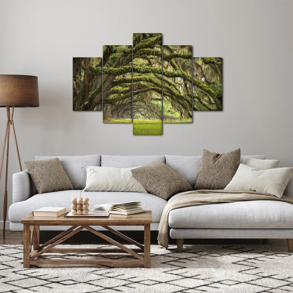 Kép - Oaks Avenue, Charleston, Dél-Karolina, Egyesült Államok (150x105 cm)