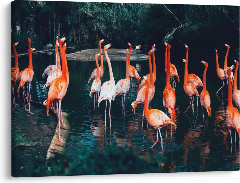 Flamingók csordája (70x50 cm)