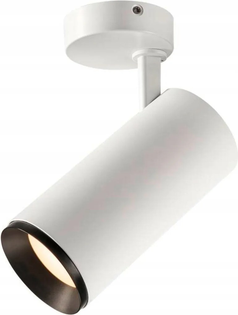 Slv Big White Numinos Spot Dali L beltéri Led felületre szerelhető mennyezeti lámpa fehér