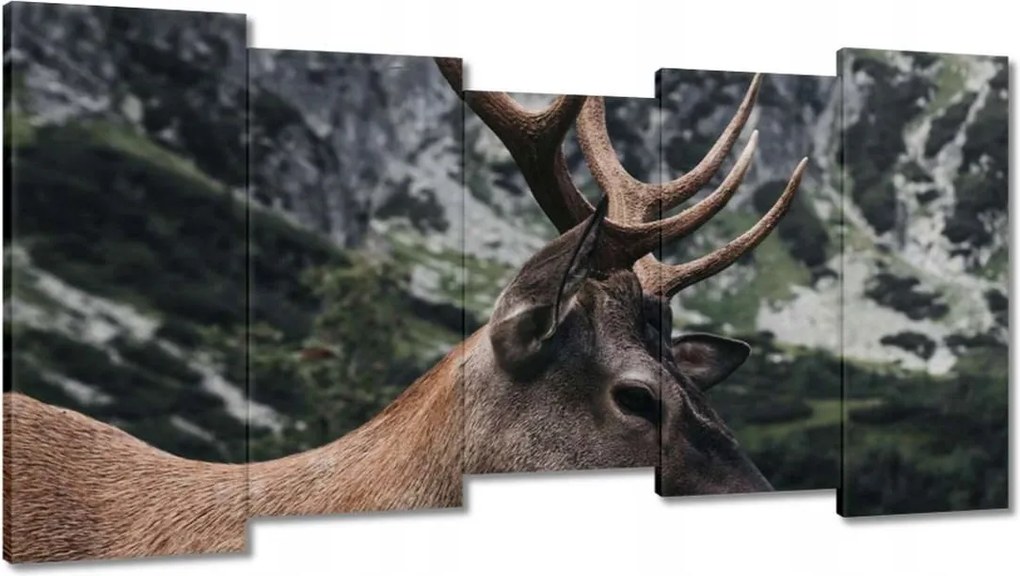 Vászonkép 150x80 Szarvas felszarvazott