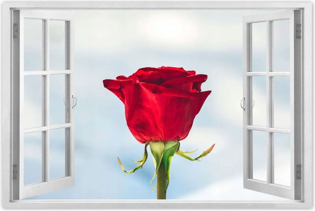 Poszterek 90x60 Rózsa Virág Virágok Rózsa