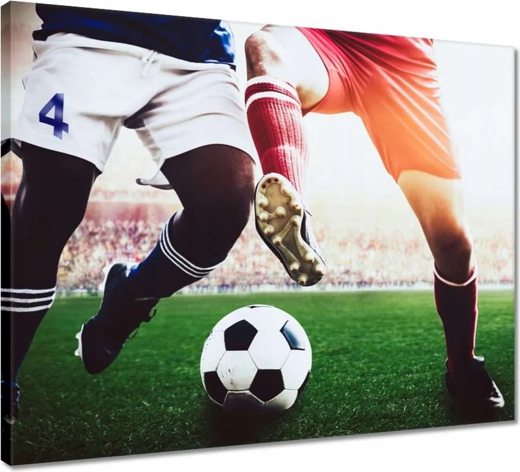 Vászonkép 50x40 Labdarúgók Labdarúgás Ág Dugók