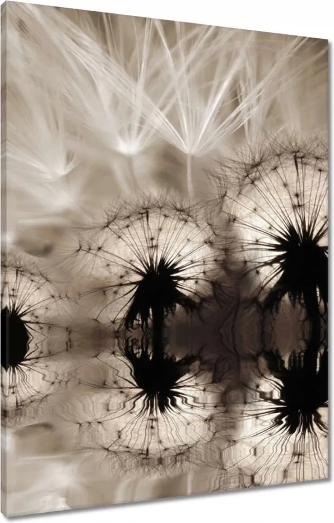 Vászonkép 60x80 Pitypangok szépia papírsárkányok