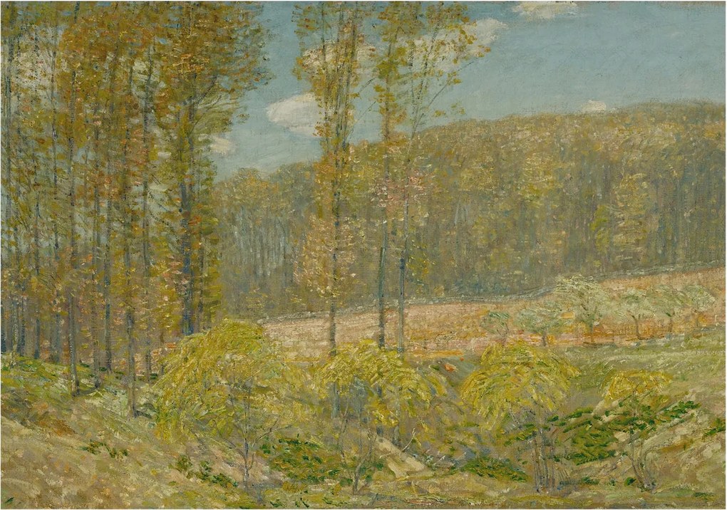 Fotótapéta Dekoratív Fali Tapéta Képek Erdei tájkép 208x146