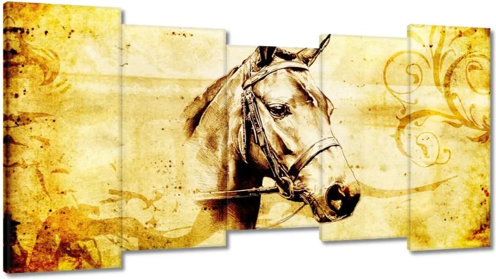 Vászonkép 150x80 Lófej