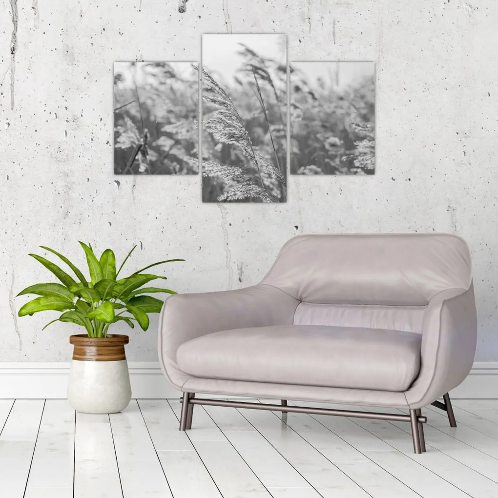 Kép - Fű a szélben (90x60 cm)