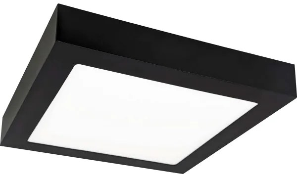 LED Mennyezeti lámpa FENIX LED/12W/230V 3800K 17 cm