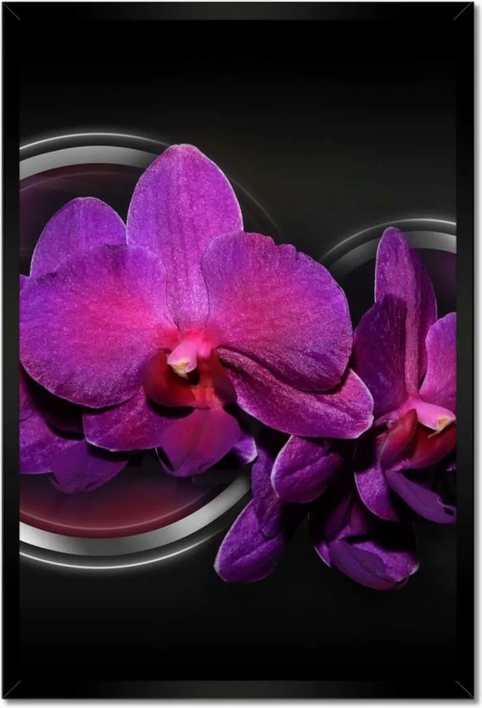 Poszterek keretben 40x60 Lila orchidea