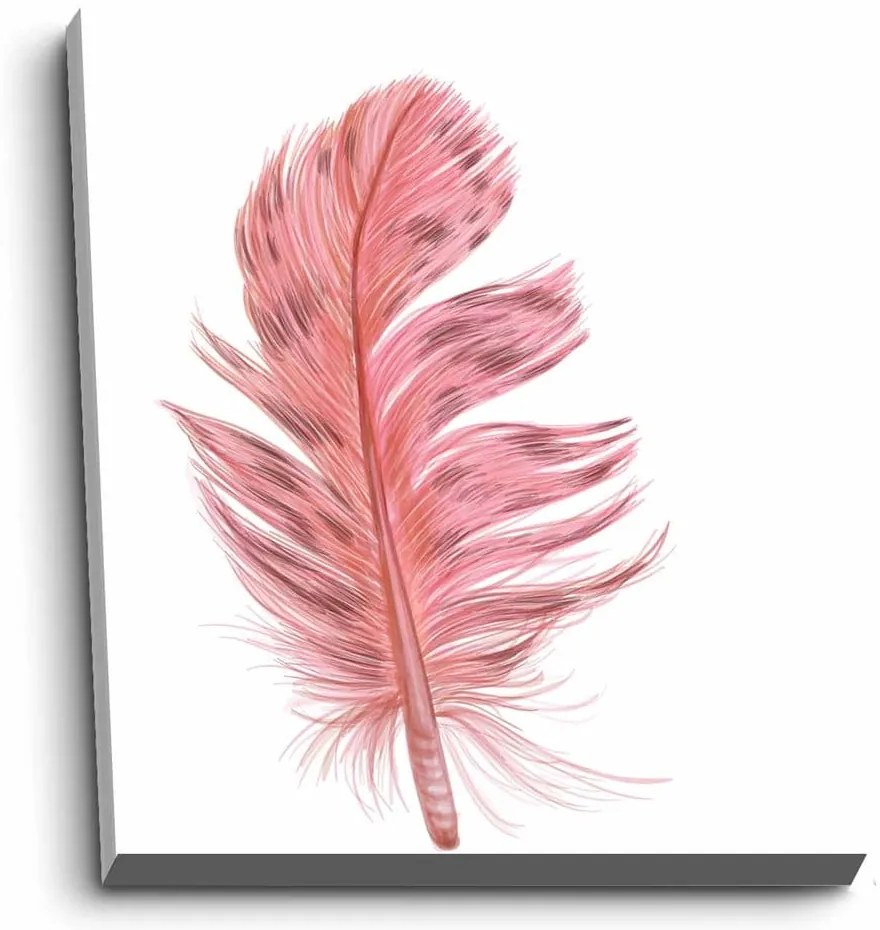 Kép 45x70 cm Feather – Wallity