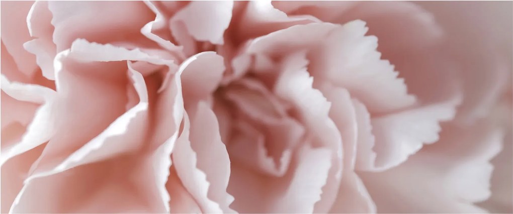 Kép - Virág részlete (120x50 cm)