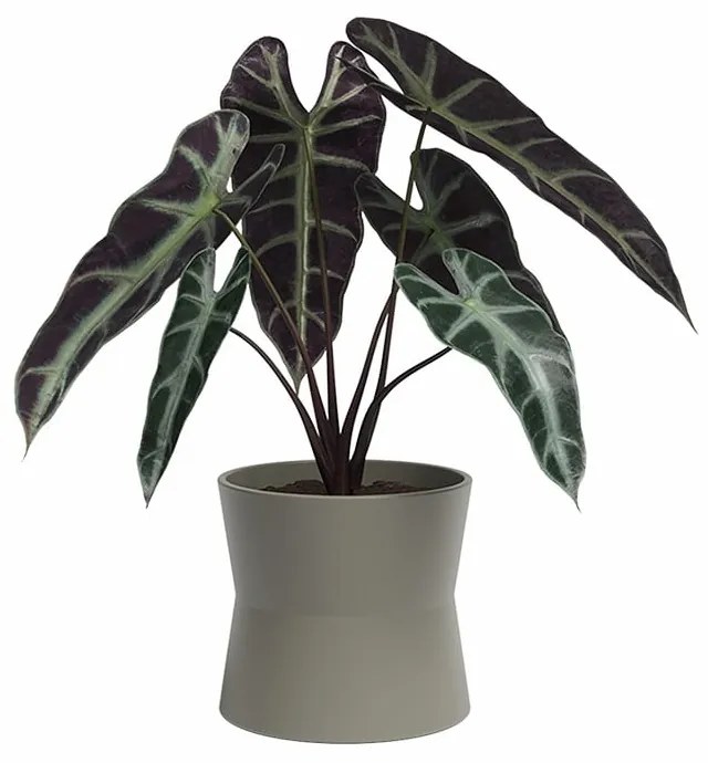 Kerámia virágcserép ø 20 cm Diana – Artevasi