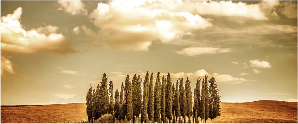 A Tisztás képe (120x50 cm)