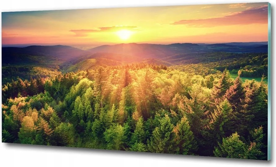 Fotó kép edzett üveg Erdő tavasz 125x50