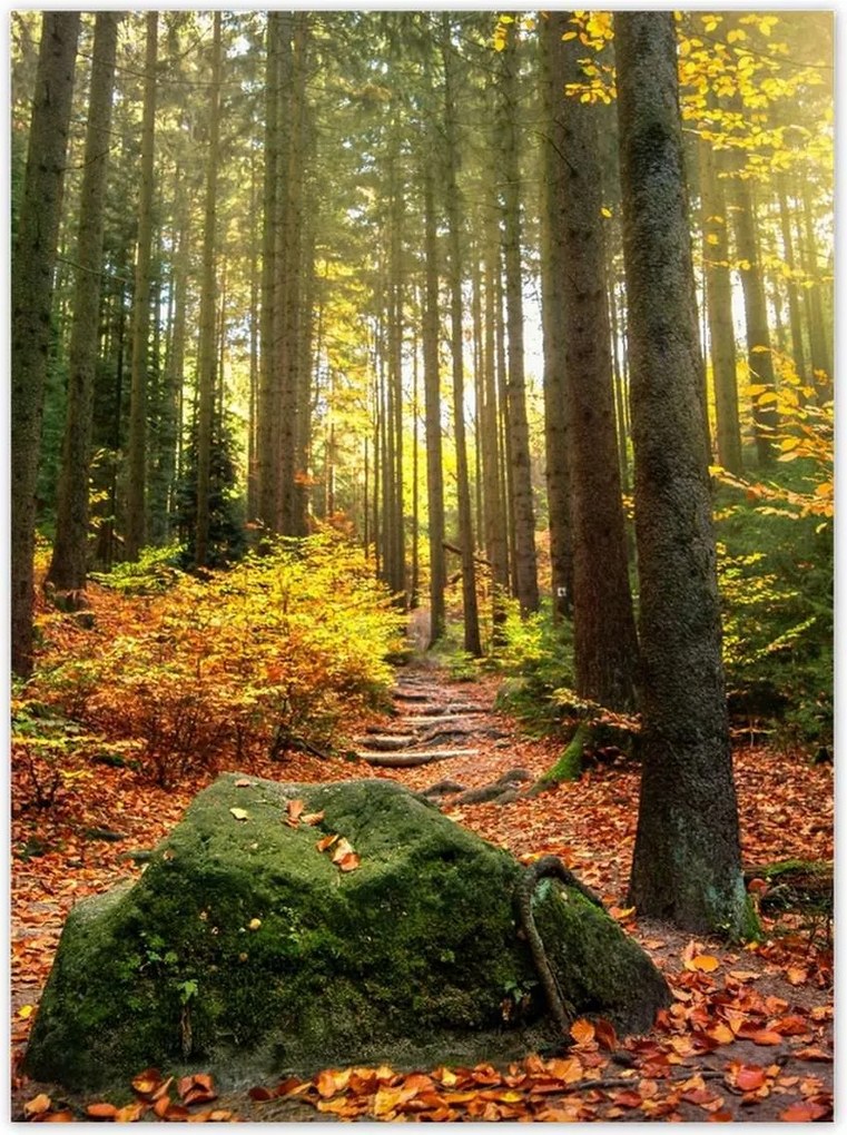 Poszterek 100x135 Tájkép