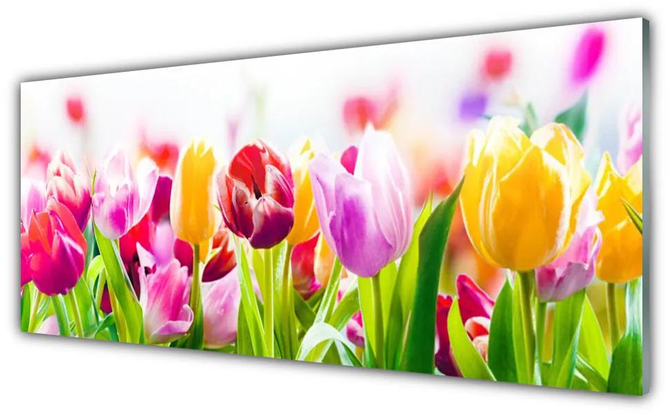 Akrilkép tulipán virágok 100x50 cm