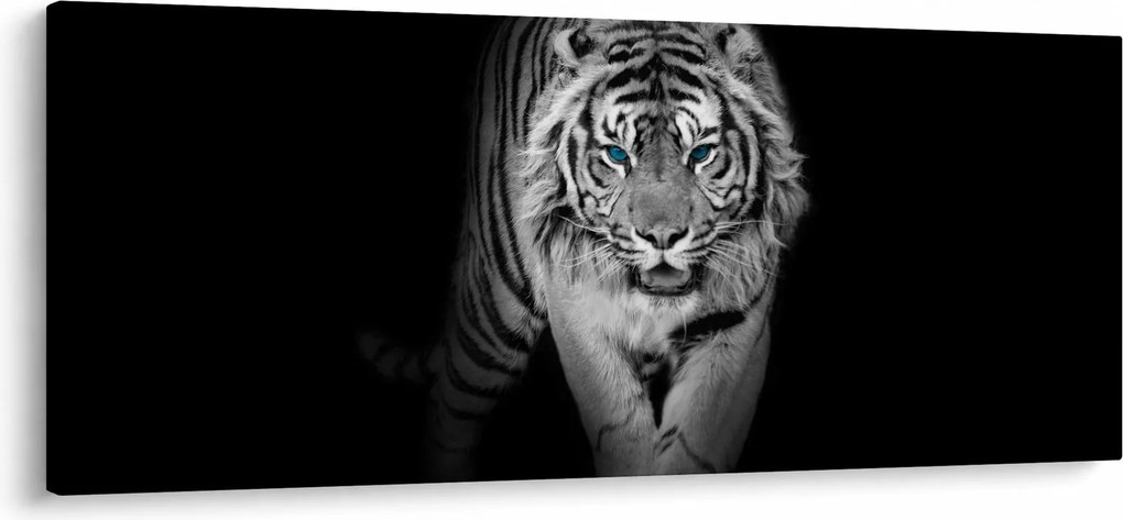 Kép - Tigris kék szemekkel (120x50 cm)