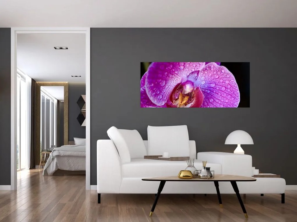 Részletes kép az orchidea virágról (120x50 cm)