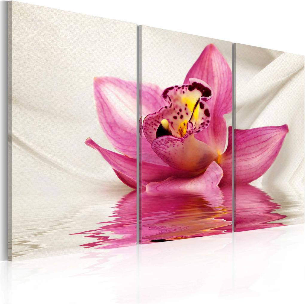 Kép - Unusual orchid - triptych
