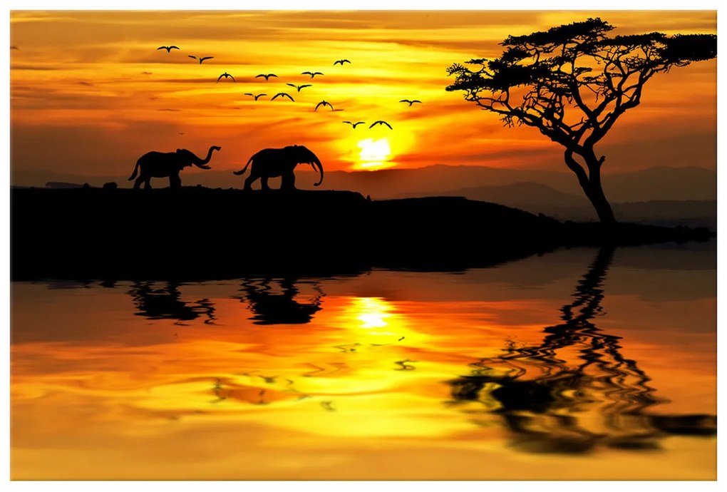 Gario Vászonkép Afrika Méret: 100 x 40 cm