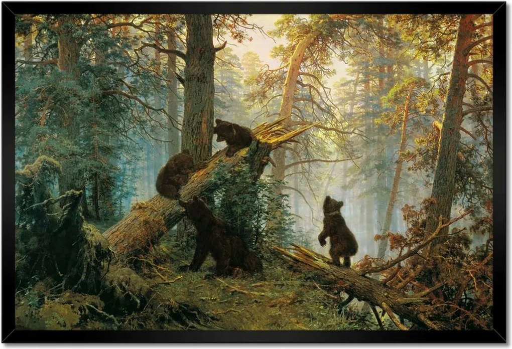 Poszterek keretben 60x40 Reggel a fenyőerdőben