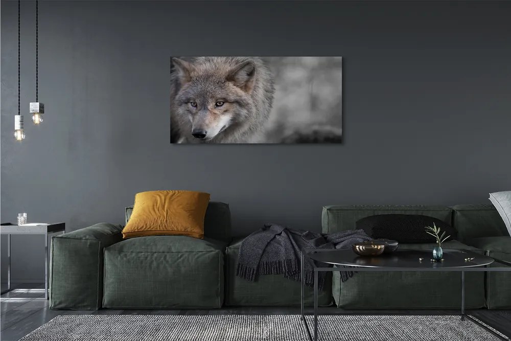 Canvas képek Farkas 125x50 cm