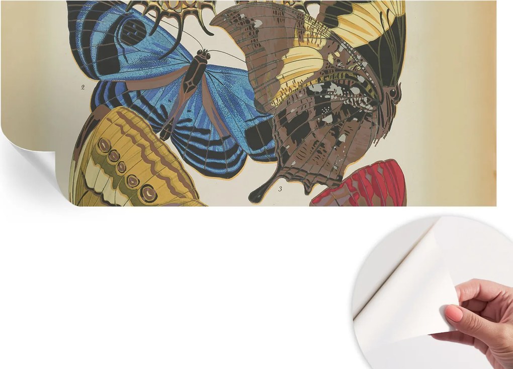 Fotótapéta Fali tapéta Hálószoba és Nappali Pillangók inspiráció 250x104