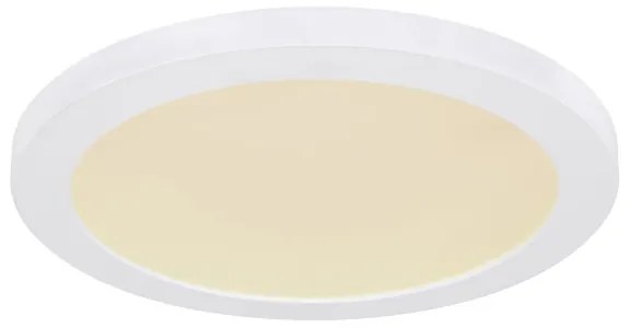 Globo 12379-24W - LED Mennyezeti lámpa LASSE LED/24W/230V