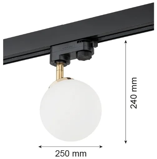 Argon 4307 - Spotlámpa sínrendszerhez BANG 1xG9/6W/230V sárgaréz