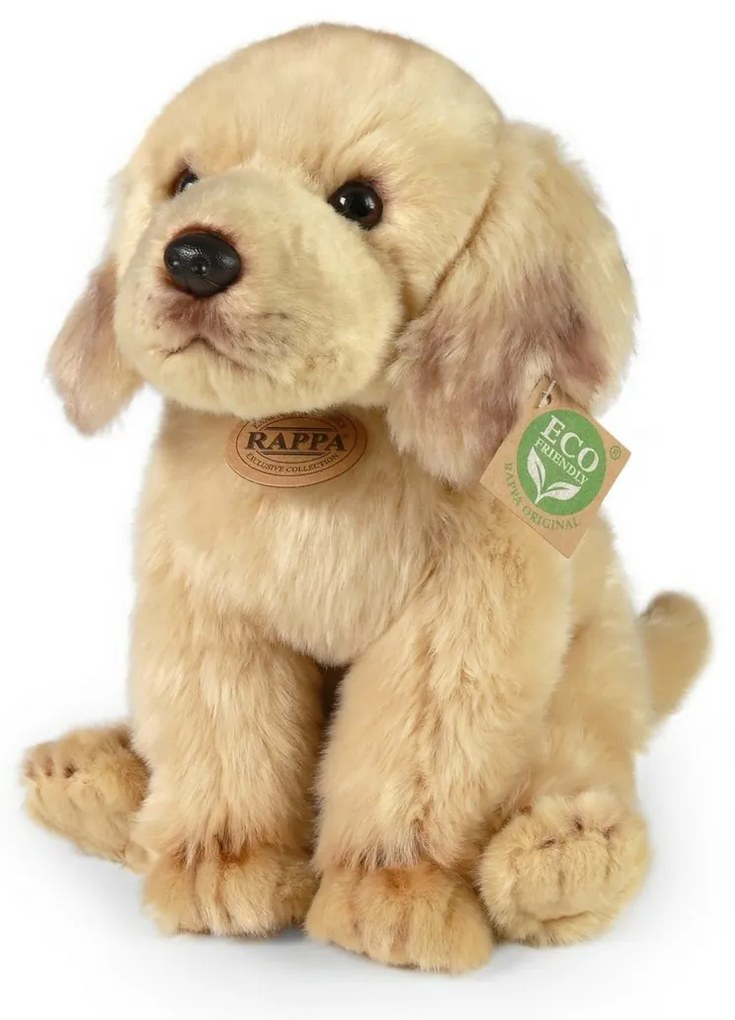 Rappa Plüss ülő labrador, 27 cm ECO-FRIENDLY