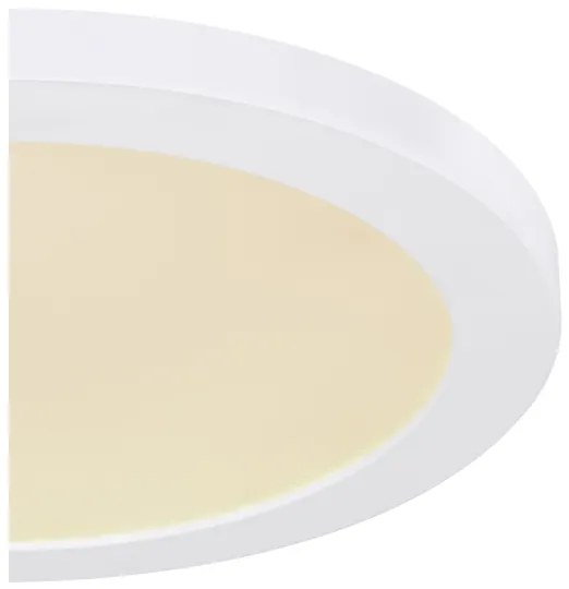 Globo 12379-24W - LED Mennyezeti lámpa LASSE LED/24W/230V