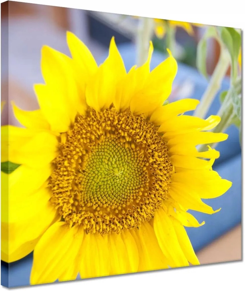 Vászonkép 30x30 Nőnap Ajándék Love