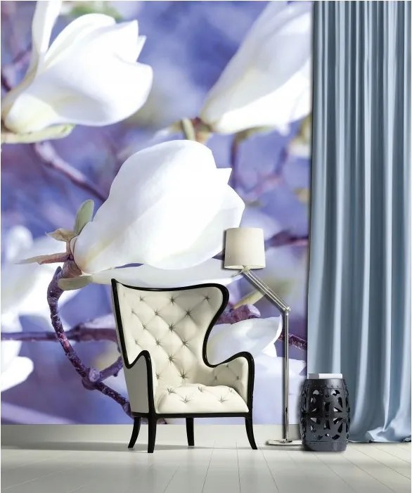 Fotótapéta Magnólia fehér virágok tavasz vinil 184x254 +ragasztó