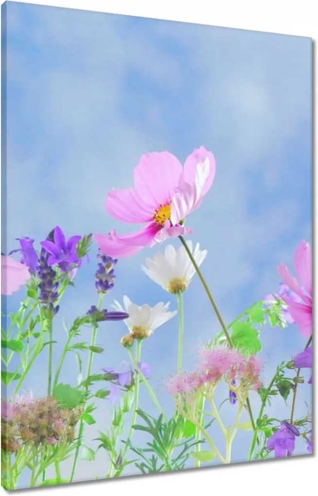 Vászonkép 60x80 Finom virágok