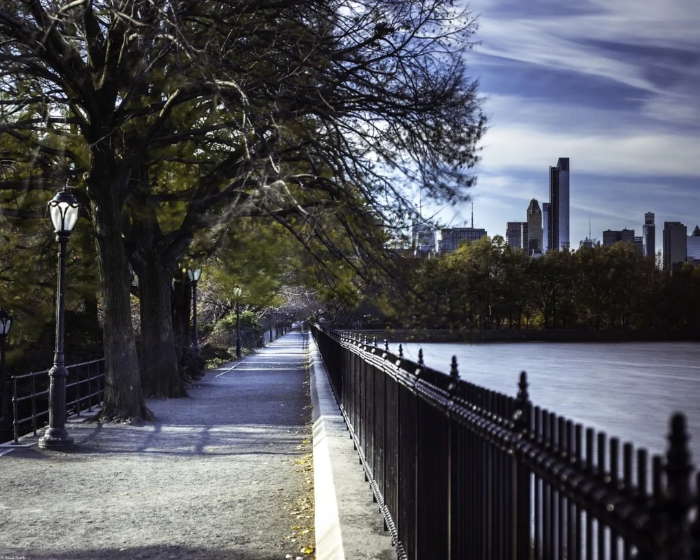 Poszter 50x40cm New York sétány, Assaf Frank