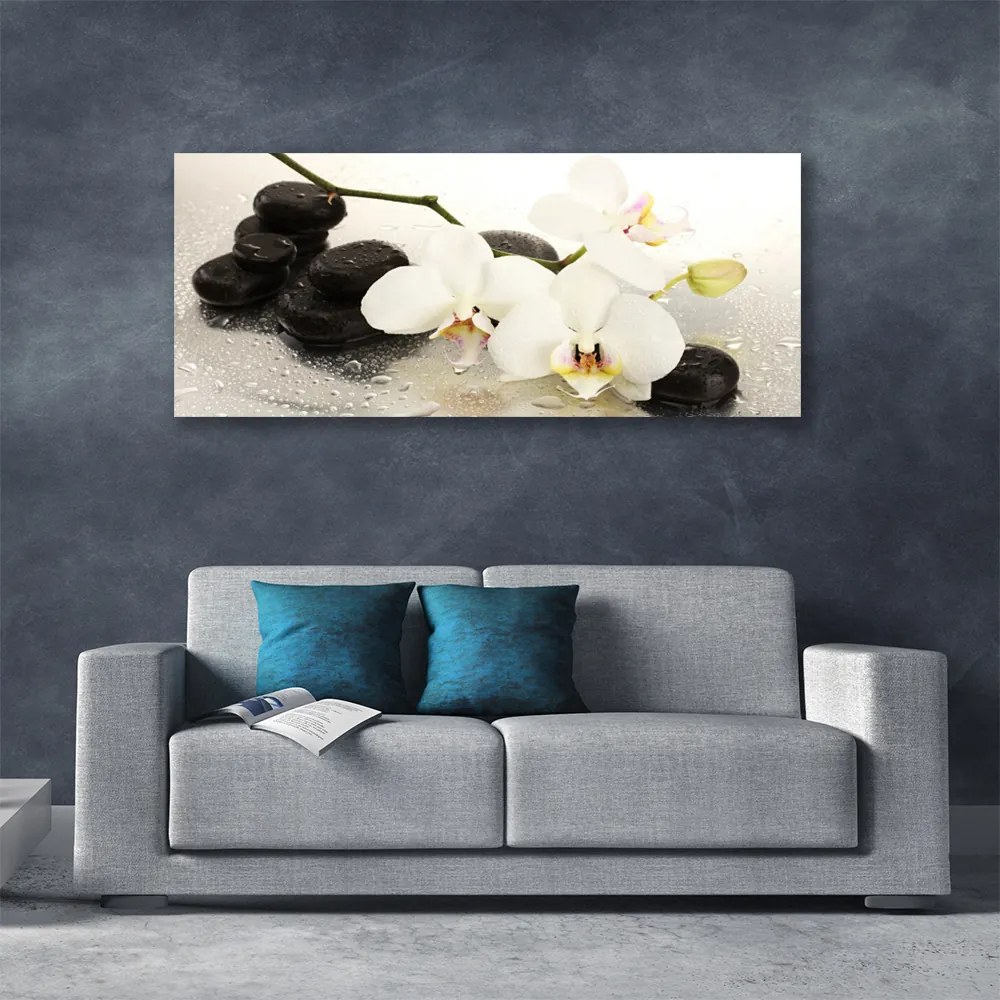 Vászonkép falra Szép virág orchidea 100x50 cm