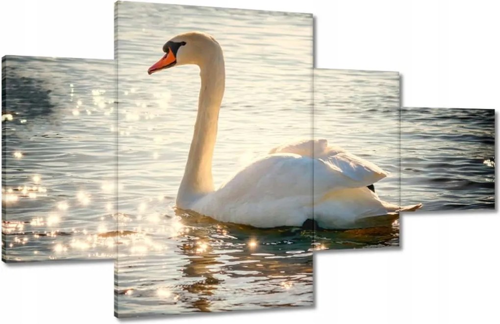 Vászonkép 130x80 Hattyú a tavon