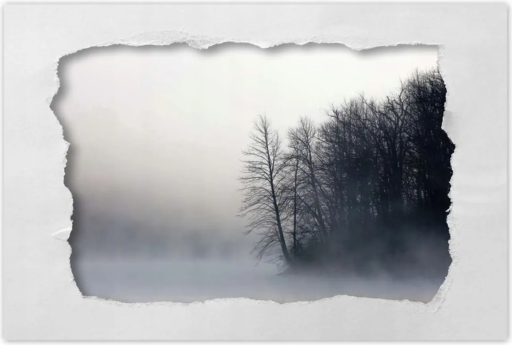Poszterek 90x60 Ködös erdő Tél
