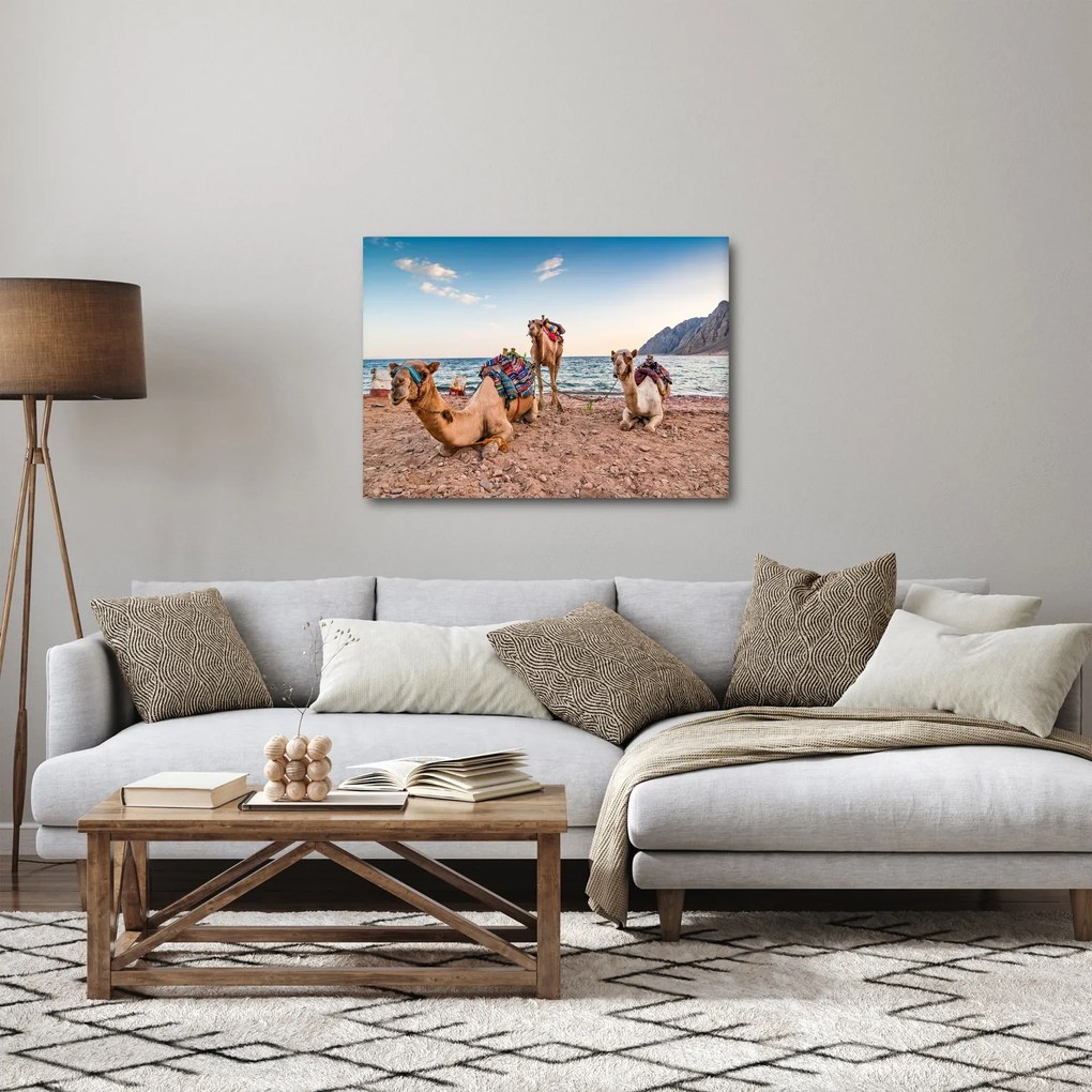 A tevék képe (70x50 cm)
