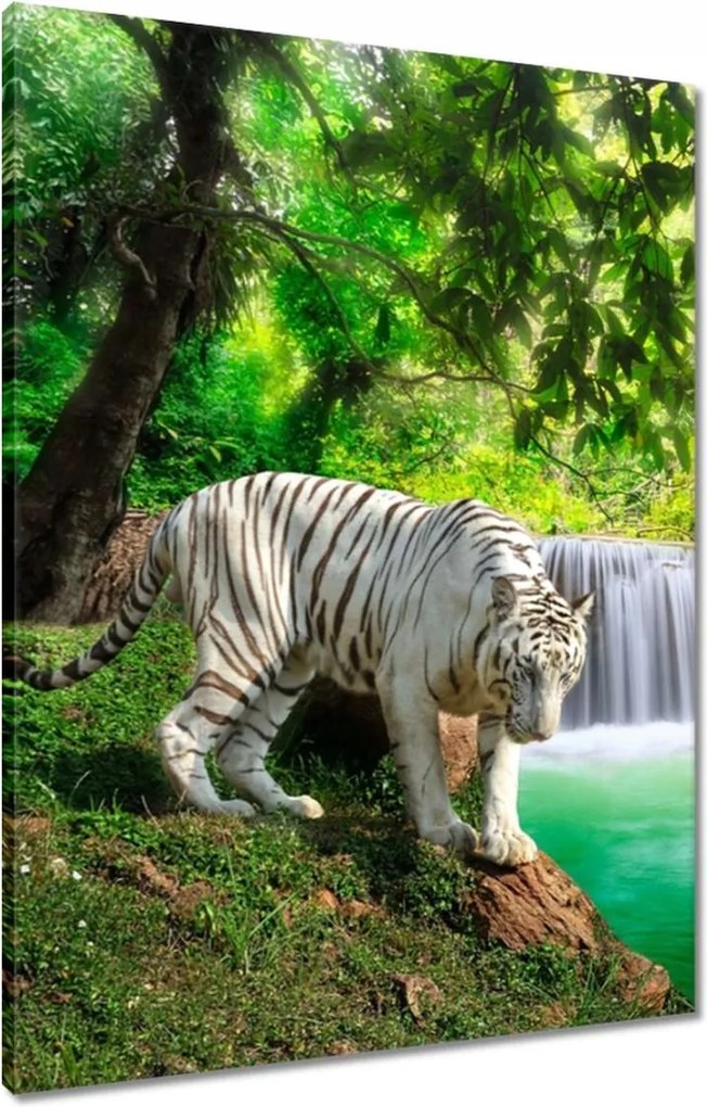 Vászonkép 60x80 Tigris a vízesésnél