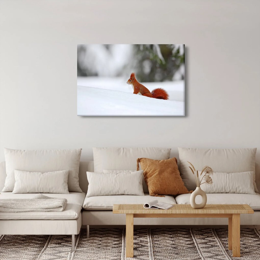 Egy mókus képe (90x60 cm)